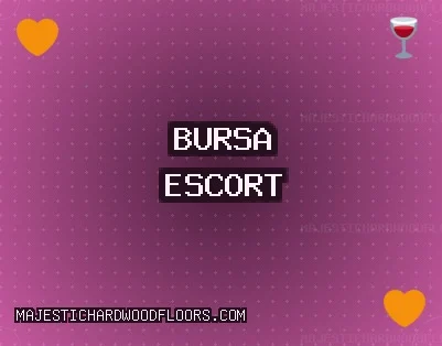 Bursa Escort: İznik Escort, Mudanya Escort, Harmancık Escort